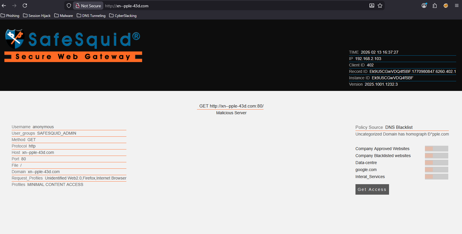 Browser Verification Output