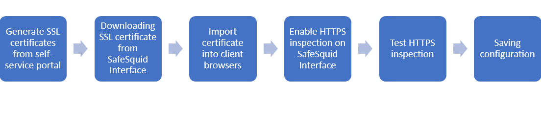HTTPS inspection flow