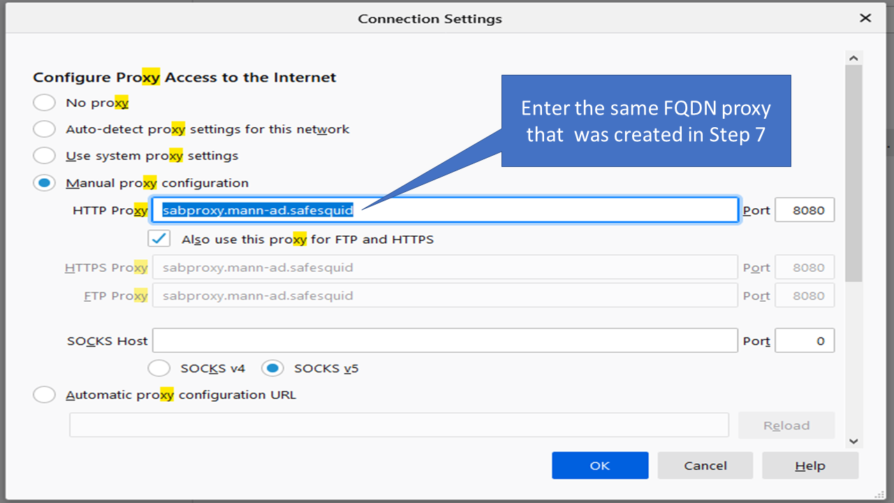 Configuring Settings in the Browser to apply manual proxy configuration 