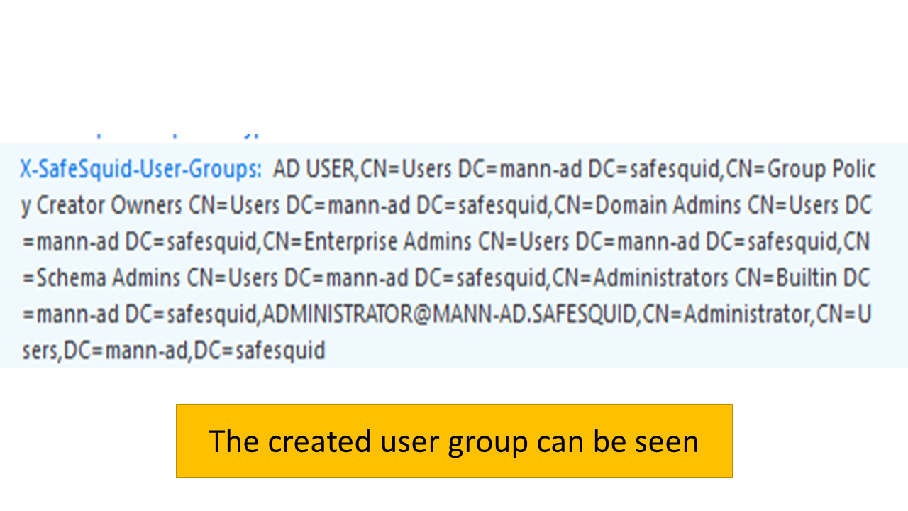 Confirmation of User Group in the network setting of Browser to apply manual proxy configuration 