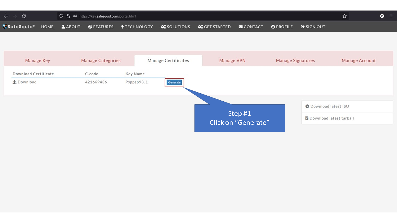 clicking on generate, Picture