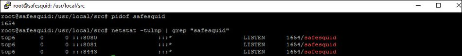 checking whether SafeSquid service is running or not by using these commands pidof safesquid OR netstat -tulnp | grep &quot;safesquid&quot;