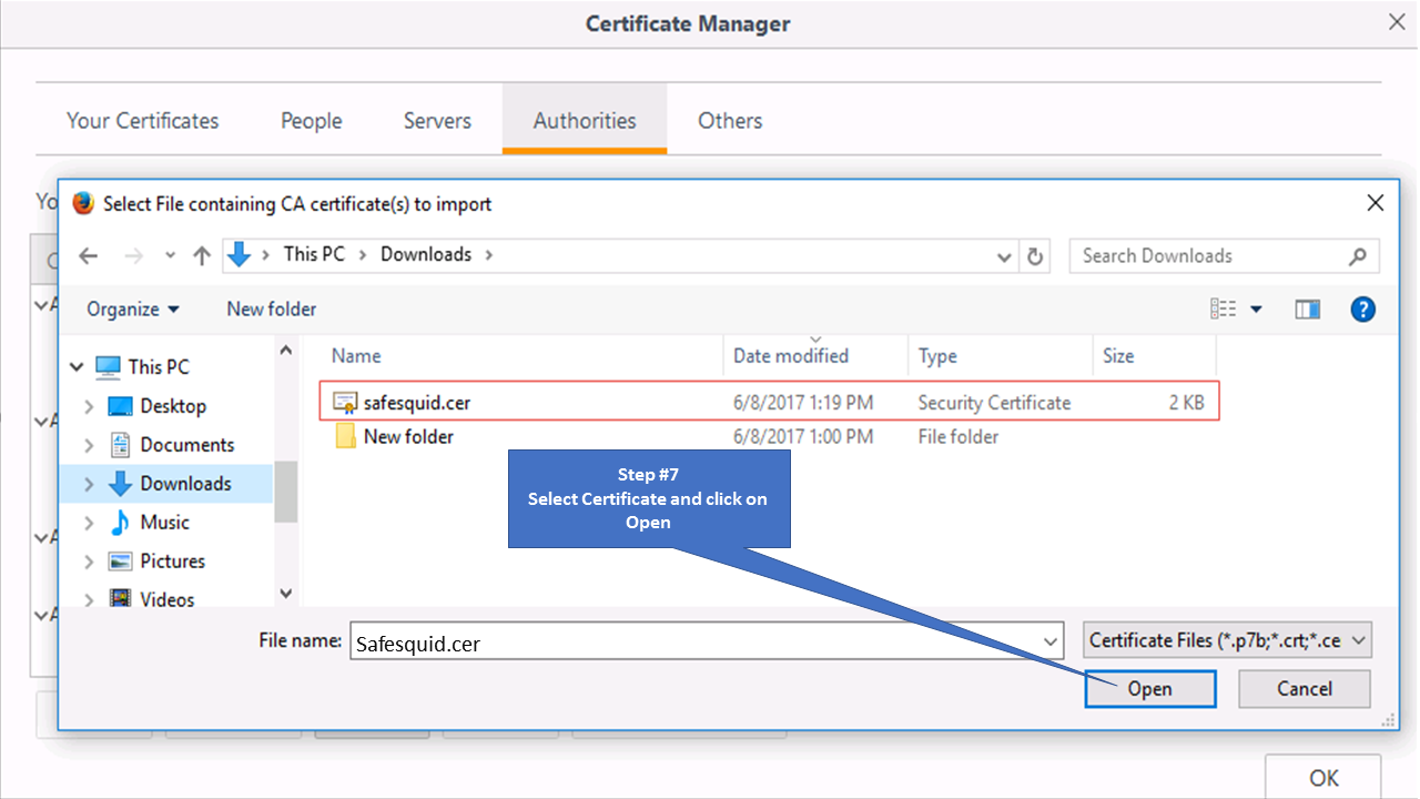 Installing SSL certificate23.png