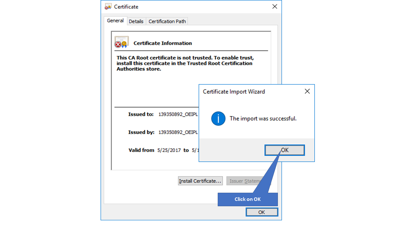 Installing SSL certificate35.png